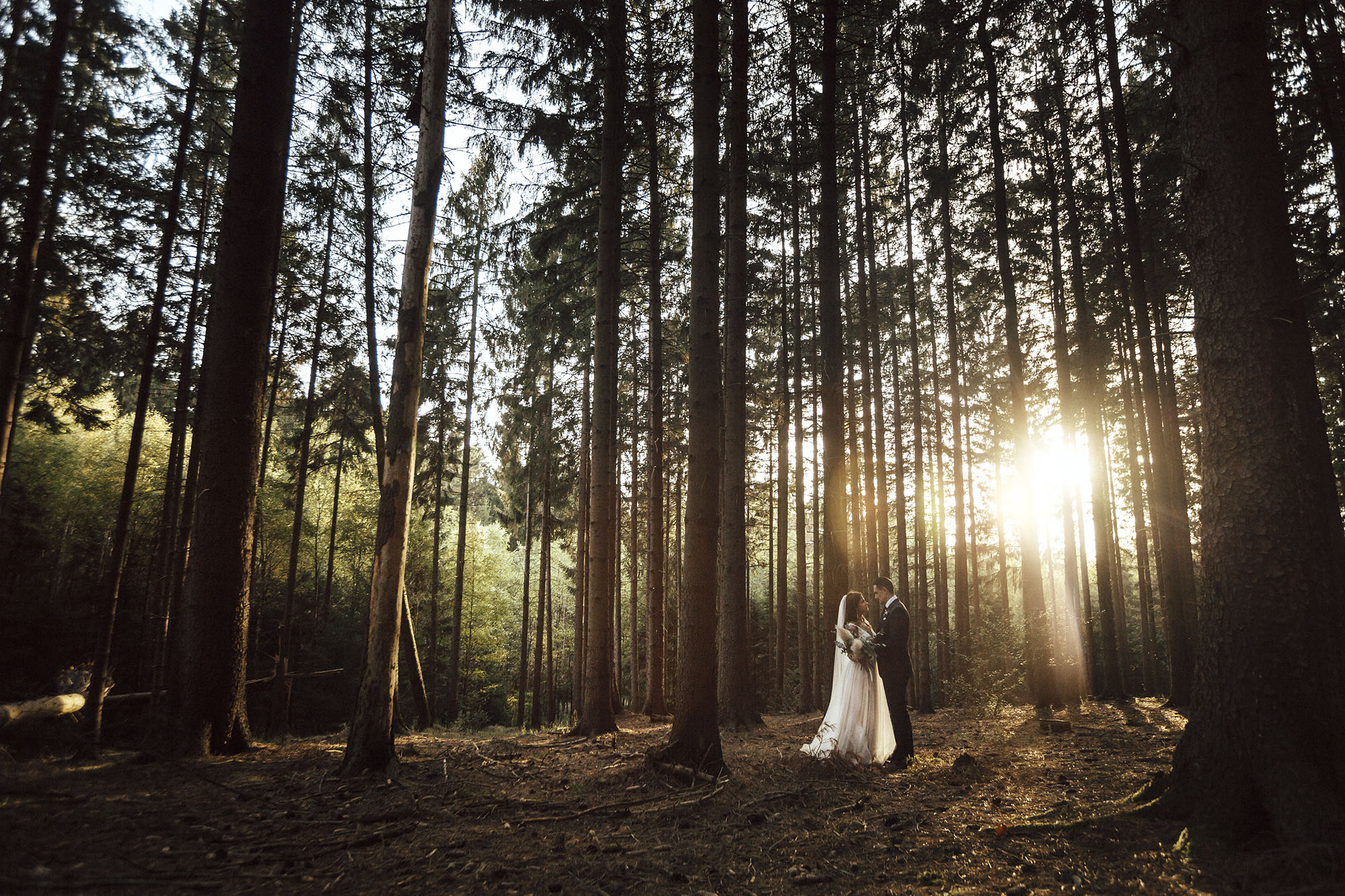 Hochzeitsringe Detailaufnahme